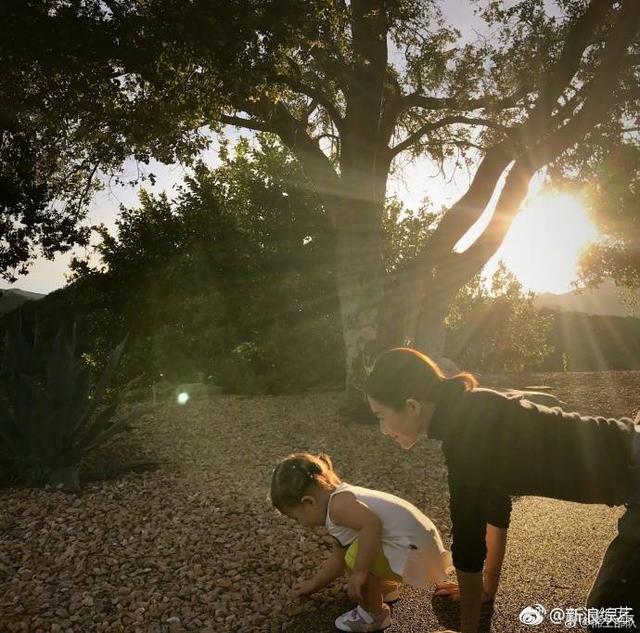 章子怡项链:为什么大家都说章子怡的项链美出了天际