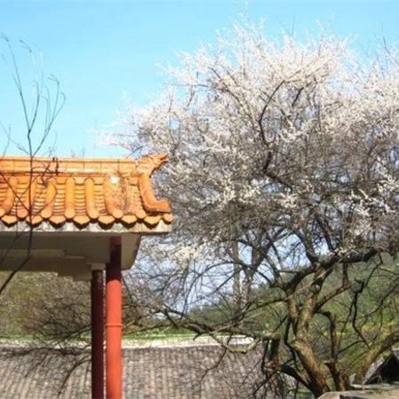 杨明鑫:去赣州旅游有哪些好玩的景点推荐呢？