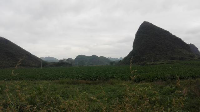 贺州有什么“鲜为人知”，但很有意思的景点？