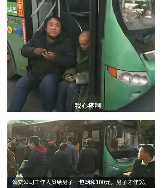 河南爆红小博美闹闹:郑州两男子目睹车祸后称被吓死了，要求赔偿损失费，你怎么看？