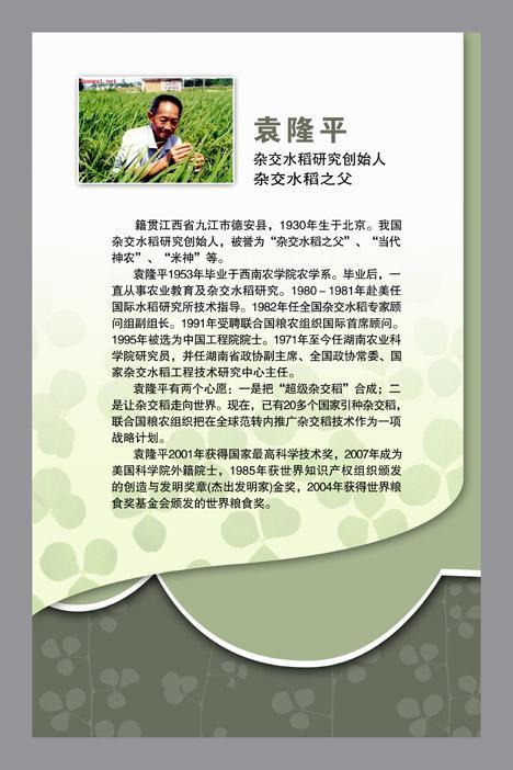 袁小田:袁隆平跟袁和平是什么关系