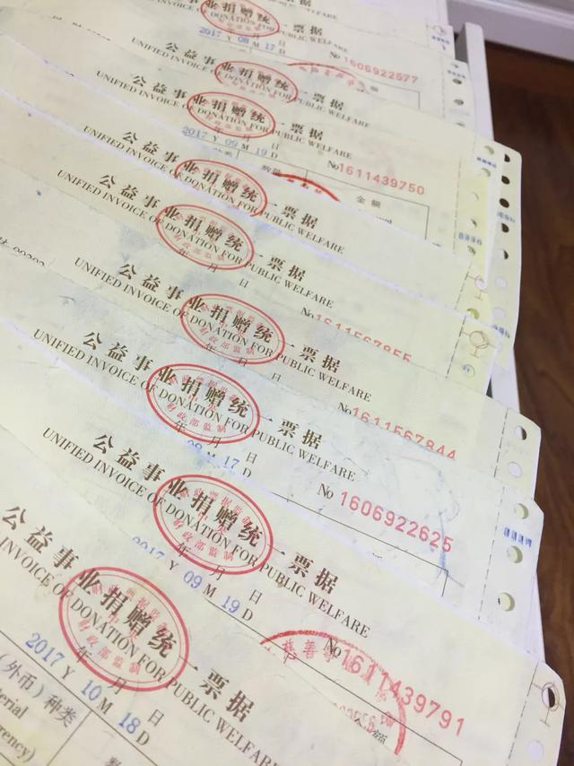 调教女犬奴:大型宠物狗能进去公共场所和大型超市吗？