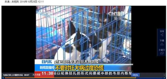 哈尔滨狂犬病发病率:你周围是否有患