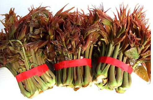 野菜图片大全及名字,在农村你吃过的野菜有哪些？