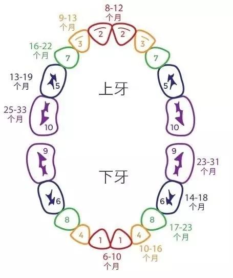 男宝宝先长上牙的禁忌,宝宝先出上牙还是下牙，要先出哪个更好呢？