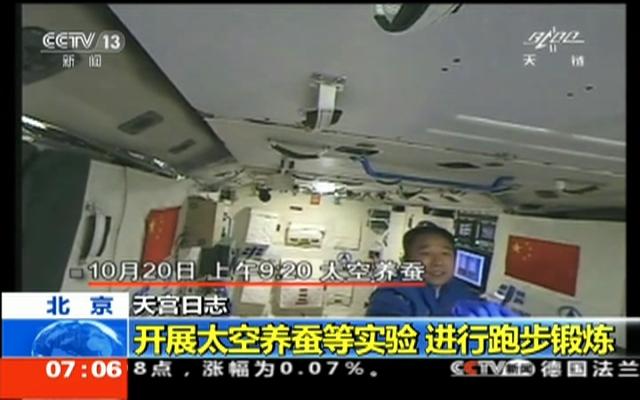 莱卡犬:当年送上太空的猩猩，按指令完成任务后，回到地球却成了什么模样