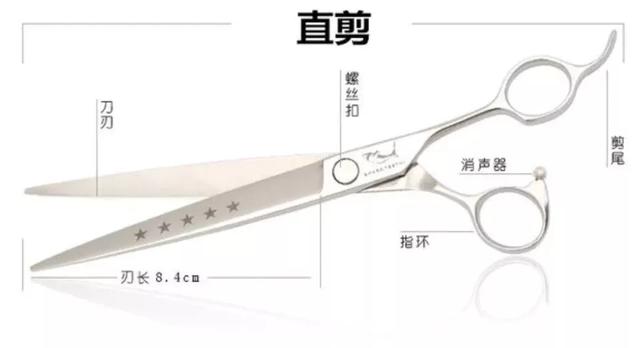宠物美容剪刀的拿法:宠物剪刀都有哪些种类，如何使用？