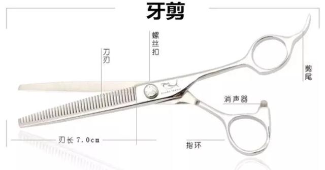 宠物美容剪刀的拿法:宠物剪刀都有哪些种类，如何使用？