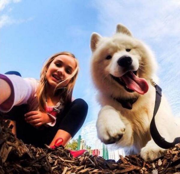 犬饲先生养狗记开始的小狗:狗狗能吃鸡蛋吗？需要注意什么？