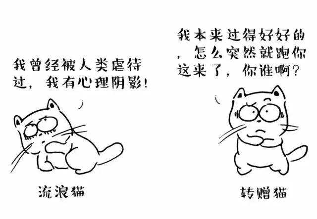 猫咪不乖的作品请:猫咪不乖的全部小说作品集 我家老猫，最近老是乱撒尿，怎么办？