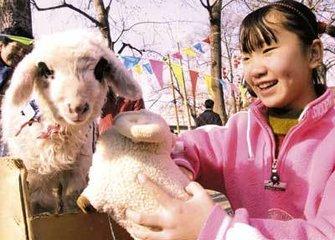 怎样养宠物:养宠物需要注意哪些事项？ 怎样养宠物狗