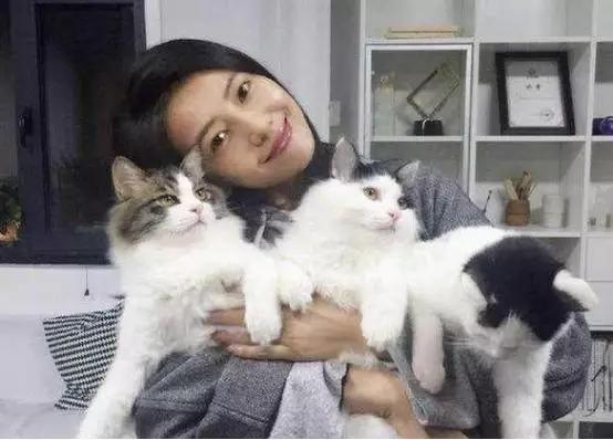 吸猫:如何看待当代年轻人喜欢吸猫多过于养狗？