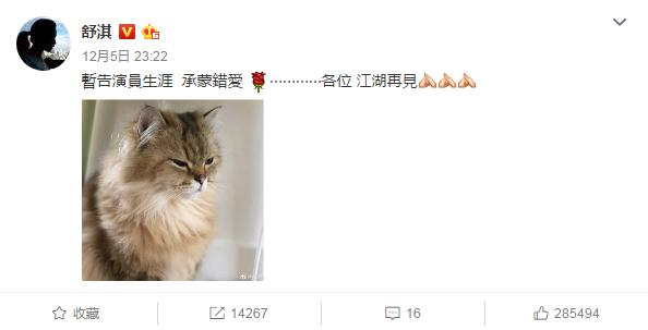 吸猫:如何看待当代年轻人喜欢吸猫多过于养狗？