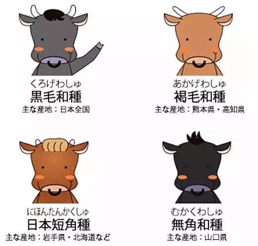 日本和牛到底是何方神物？为何这么贵？真的好吃吗？