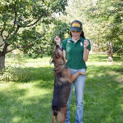 至尊犬奴:狗是伴侣动物，下这个结论的人有资格代表人类吗？