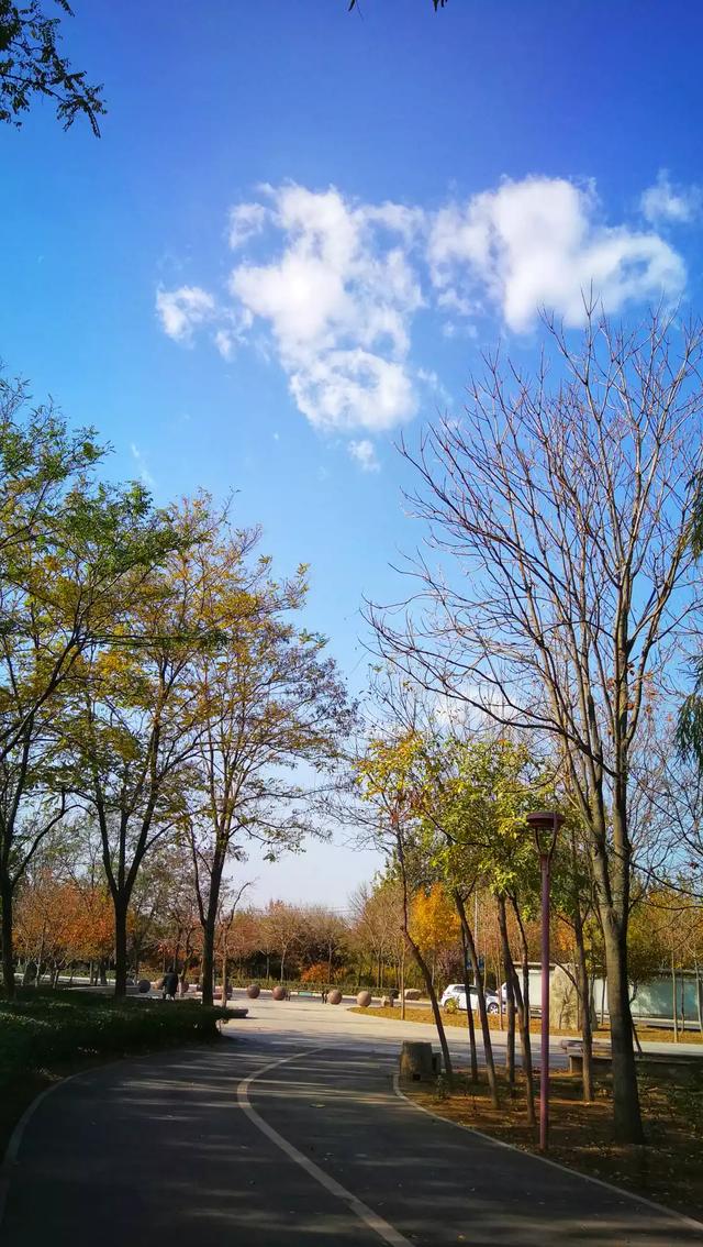 头条问答 - 手机摄像,秋意正浓,如何拍出最美秋照?(8个回答)