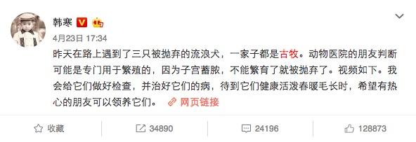 收养狗狗:领养一只狗狗的亲身体验怎么样？领养的狗狗会和自己亲吗？