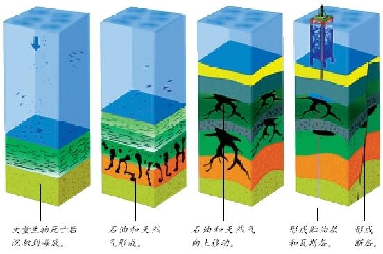 尸体标本颜色知乎:石油是动物尸体形成的吗？为什么？