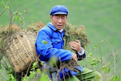 慕尼黑华语电影节:国内娱乐圈有谁至今没演过一部烂片？