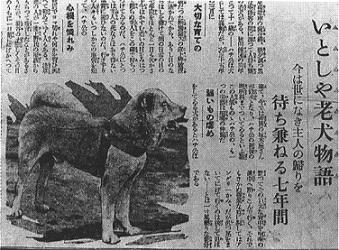 秋田犬八公百度云:狂犬八公全集百度云 最近有什么网上可以下载到的好看的电影或电视剧？