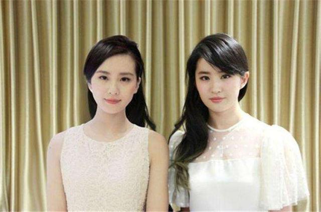 当婆婆遇上妈演员表:女演员里哪两位撞脸撞的最狠？