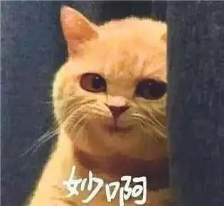 太重口味:有哪些比较重口味的电影可以推荐吗