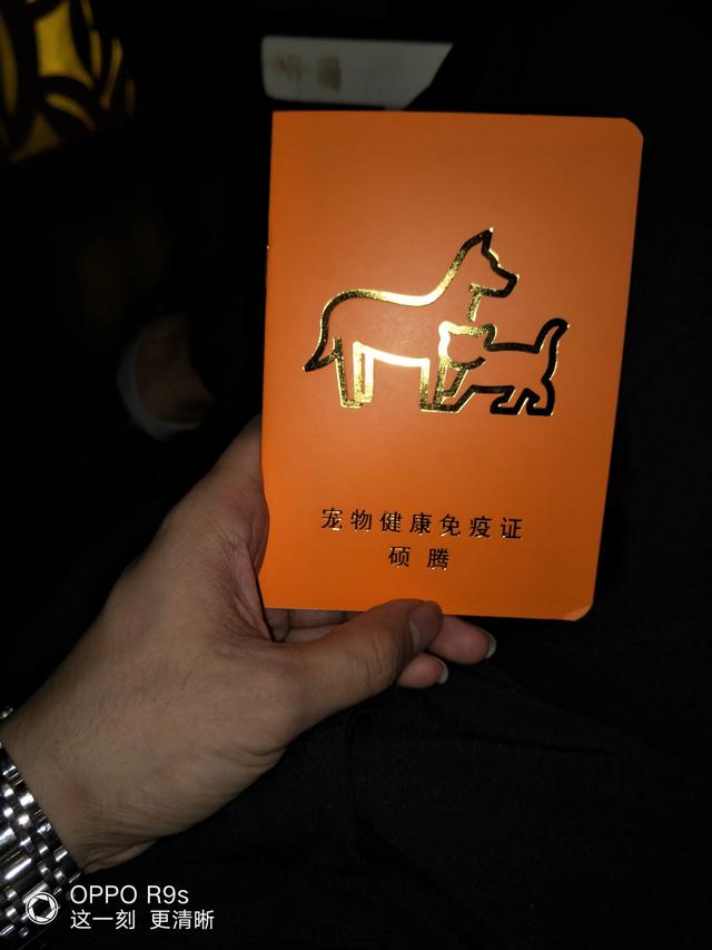 拉布拉多纯种多少钱幼犬黑色:拉布拉多犬的价格一般是多少？