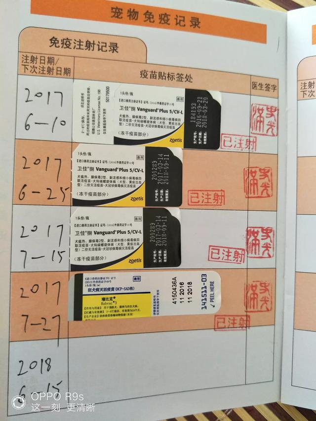 拉布拉多纯种多少钱幼犬黑色:拉布拉多犬的价格一般是多少？