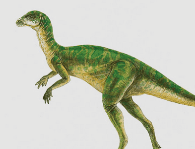 头条问答 - 科学家能用恐龙的基因克隆,培育恐龙吗?(5个回答)