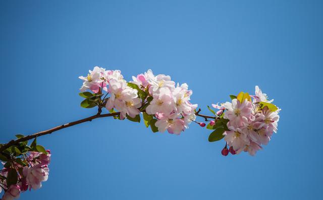 丰华秋实:口口声声地说放下，真的做到放下了吗？