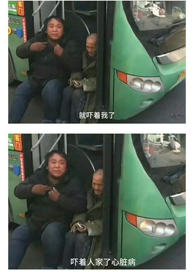 河南爆红小博美闹闹:郑州两男子目睹车祸后称被吓死了，要求赔偿损失费，你怎么看？