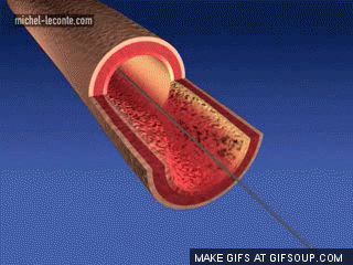 320_240gif 动态图 动图