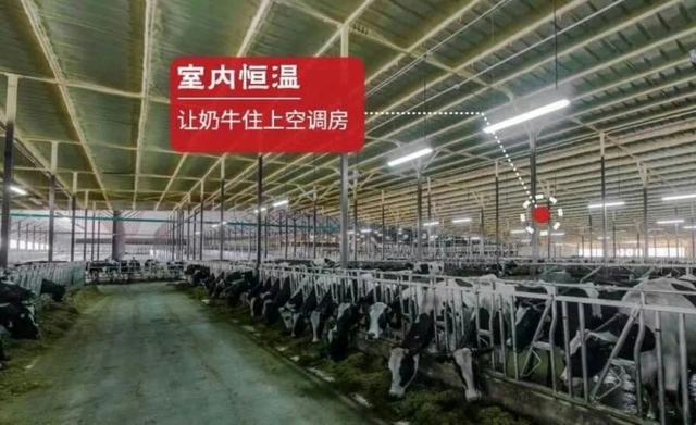 明胶事件:问一下大家都是通过什么理财的，一般年化收益率在多少