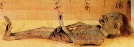 长江出真龙了吗，日本人的瑞龙寺珍藏的真龙标本是真的吗