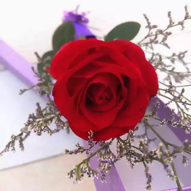 生日低调发<a href=https://maguai.com/list/256-0-0.html target=_blank class=infotextkey><a href=https://maguai.com/list/256-0-0.html target=_blank class=infotextkey>朋友圈</a></a>:过生日怎么发<a href=https://maguai.com/list/256-0-0.html target=_blank class=infotextkey><a href=https://maguai.com/list/256-0-0.html target=_blank class=infotextkey>朋友圈</a></a>显得幽默？(宝贝过生日怎么发<a href=https://maguai.com/list/256-0-0.html target=_blank class=infotextkey><a href=https://maguai.com/list/256-0-0.html target=_blank class=infotextkey>朋友圈</a></a>)