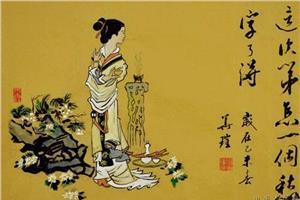 你喜欢的诗词和语句是什么？