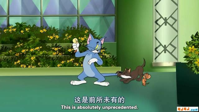 汤姆猫里面的灵异事件:《猫和老鼠》中有哪些容易忽略的细节？