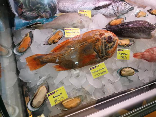 头条问答 怎样区分各种鱼 7个回答