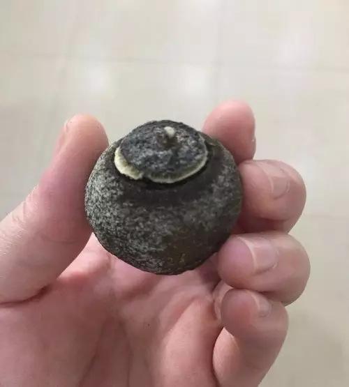 头条问答 柑普茶长"白霜"就一定是发霉吗(1个回答)
