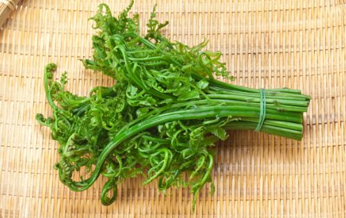 野菜图片大全及名字,在农村你吃过的野菜有哪些？
