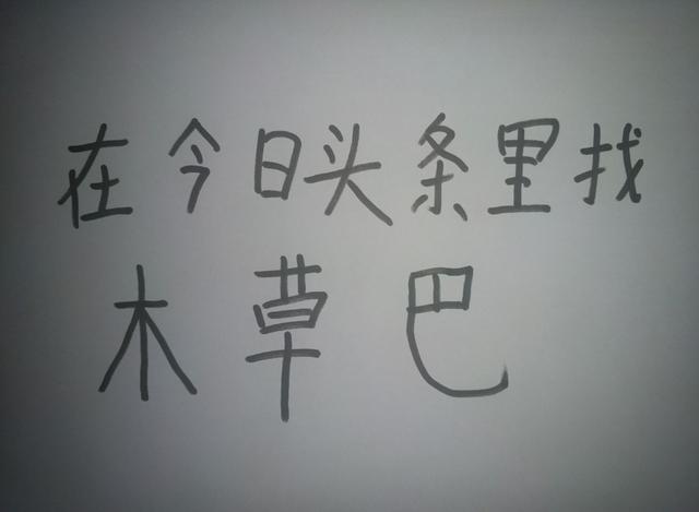 训狗方法大全 图片:狗狗总是随地大小便，怎么教也教不会，怎么办？