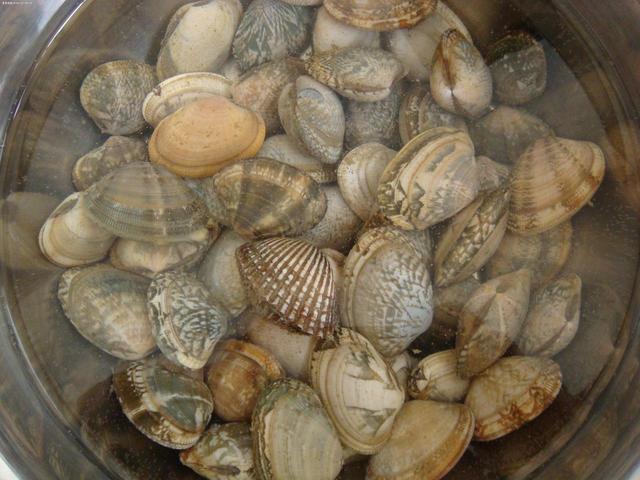 花蛤、蛏子、蚬子、蚶子、蛤蜊、海瓜子、贝壳都有什么区别？:剥开的拼音 第1张