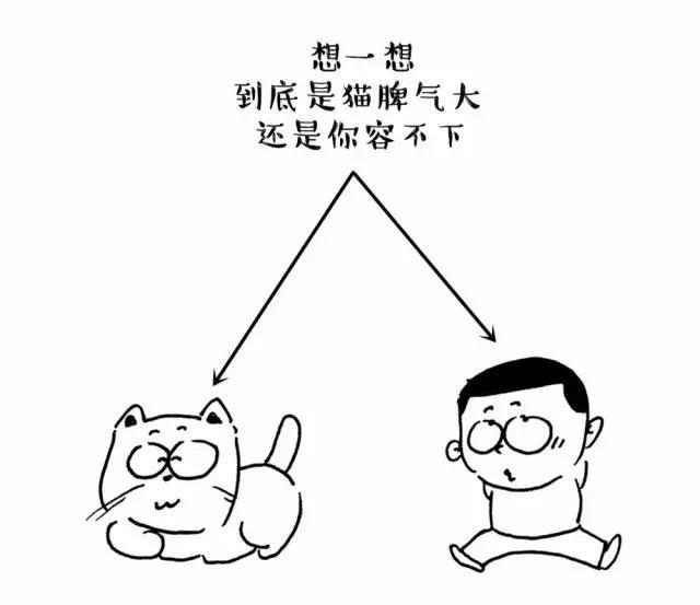 猫咪不乖的作品请:猫咪不乖的全部小说作品集 我家老猫，最近老是乱撒尿，怎么办？