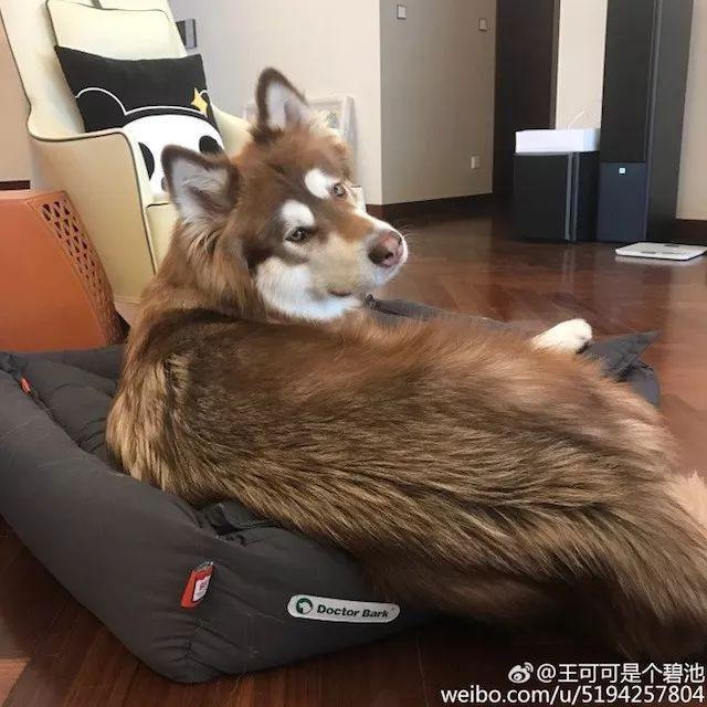 王可可是个碧池:淘宝给20个特色卖家颁奖，这传达出怎样的信号？