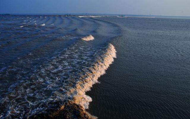 什么时间去嘉兴的海宁盐官观潮景区观潮最好？