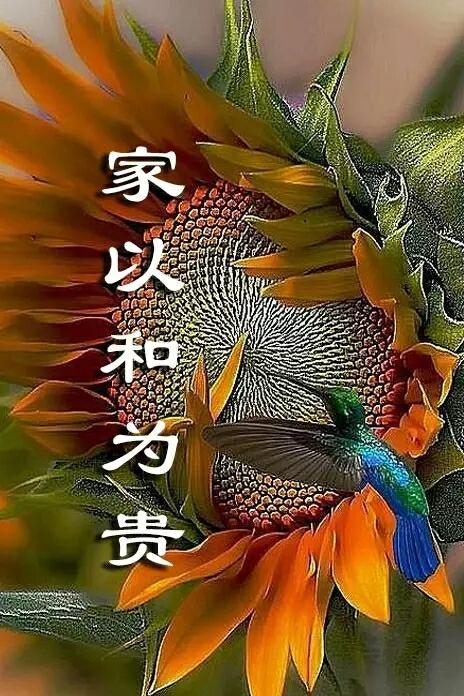 一夜变老的女人胡娟:你觉得自己是慢慢变老了，还是一夜之间变老了？