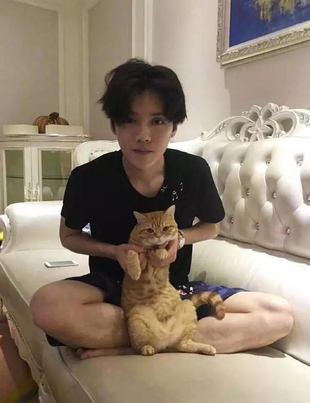 吸猫:如何看待当代年轻人喜欢吸猫多过于养狗？