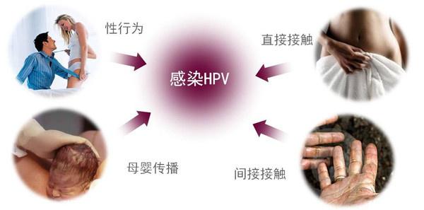 二价疫苗价格,二价宫颈疫苗价格是多少？