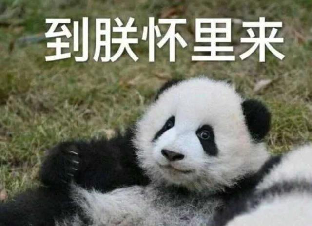昆凌萧敬腾聚会:为什么大家那么关注明星的捐款，而企业家却很少关注