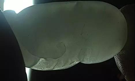 用手电筒怎么看玉的真假,用手电筒能鉴定和田玉吗？